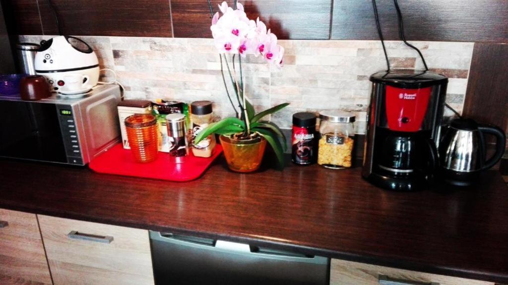 Art Apartment *
